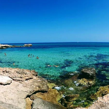 Alessandra Experience